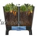 Keter Easy Grow Resin Elevated Garden, All Weather, Self-Watering Plastic Planter, Brown Rattan   553520495
